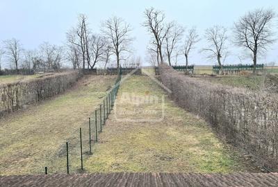 Duplex cu 4 camere cu Canalizare în Cărpiniș - 15