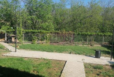 Branesti - Vila de vanzare - 8