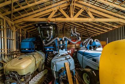 Vie de 115 Hectare in satul Dud, jude?ul Arad - 3