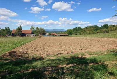 Teren intravilan pentru casa sau vacanta, Lunca, Baia de Cris Teren intravilan pentru casa sau vacanta, Lunca, Baia de Cris - 3