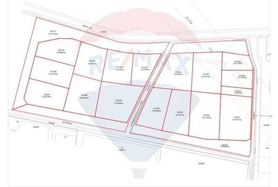 Teren 50,000mp Sacalaz /PUZ industrial - 4