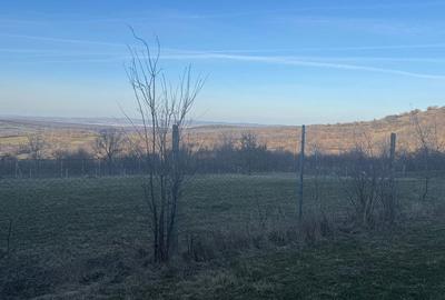 Teren de 1046 mp, în Rășinari - 4