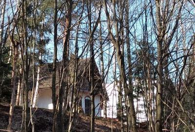 Teren de 900 mp, în Văliug - 3