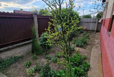 Casă cu 2 camere cu Teren 2700 Mp în Central - 1