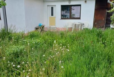 Casă cu 4 camere în Craiter - 2