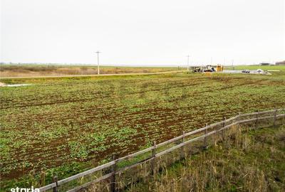 Teren de 5000 mp, în Sânnicolau Român - 5