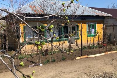 Casă cu Teren 2475 Mp în Central - 3