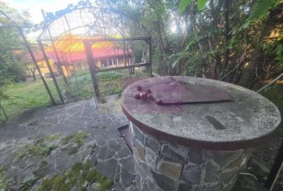 Casa de vanzare in Breaza - Zona Capul Campului - 32