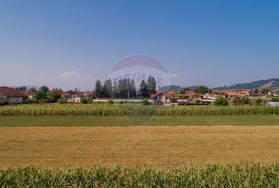 Comision 0 %! Teren intravilan de vanzare, Harman! - 6