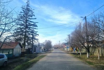 Teren de 5000 mp, în Pantelimon - 8
