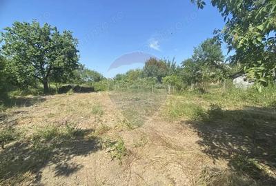 Casa cu teren 23 de ari de vanzare Casa cu teren 23 de ari de vanzare - 4