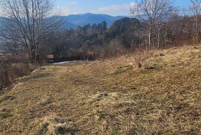 Teren de 1365 mp, în Sărata - 2