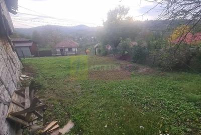 Casă cu 3 camere cu Teren 3410 Mp în Aluniș - 9