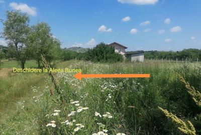 Teren intravilan, Tintea, 500 mp, neimprejmuit - 4