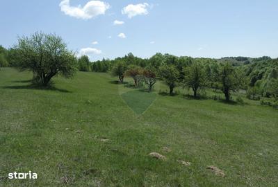 Teren de 7500 mp, în Copalnic - 2