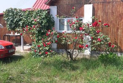 Casă cu 3 camere în Crucișoara - 4