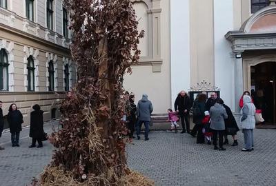 Casă cu 6 camere în Bazoș - 1