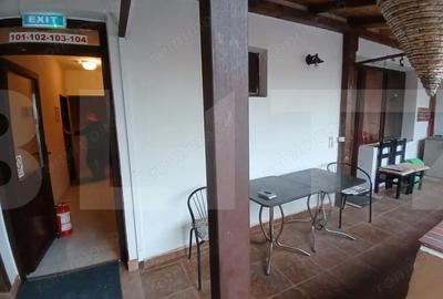 Spațiu comercial, de 500 mp, în Mehala - 11