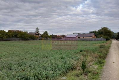 COSERENI( il ) - TEREN 2K MP DE VANZARE (52 M DESCHIDERE ... - 6