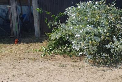 Teren de 397 mp, în Șimnicu de Jos - 3