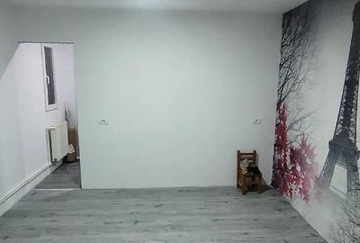 Casă cu Teren 2157 Mp în Brăteasca - 8