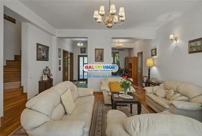 Vanzare vila Lacul TEI  PETRICANI INSULA  LAC 1900 MP TEREN - 10