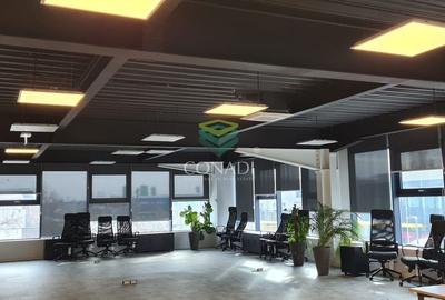 MOGOSOAIA CENTURA |READY TO MOVE IN I HALA depozitare si birouri - 3