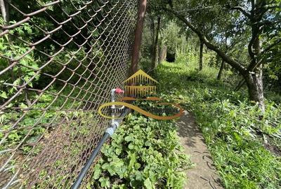 Casa de vanzare Moinești zona Magura vedere panoramica - 21