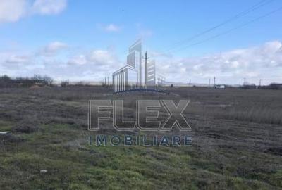 Teren intravilan în Dorobanți - 7