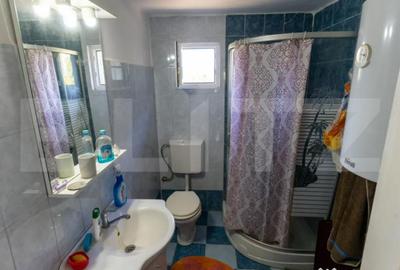 Casă cu 3 camere cu Teren 4000 Mp în Rovina (Brănișca) - 6