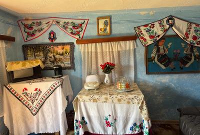 Casa in mediul rural + teren - 5