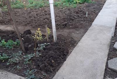 Casă cu 2 camere în Andrei Șaguna - 5