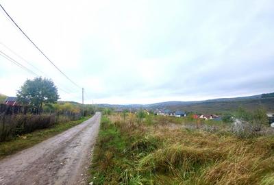 Teren de vanzare Barnova, cu priveliste Vanzare imediata - 6