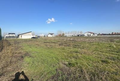 Spațiu comercial, în Negoiești - 4