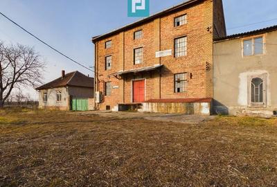 Moară de vânzare în comuna Periam, județ Timiș - 1