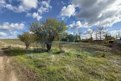 Teren intravilan - 1000mp - utilitati - deschidere mare - Mischii - 6