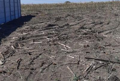 Teren de 1367 mp, în Săbăreni - 2