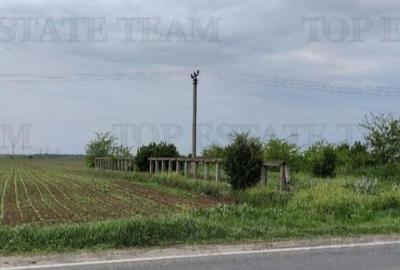 Teren intravilan - - centura - Cazasu - Braila - 1