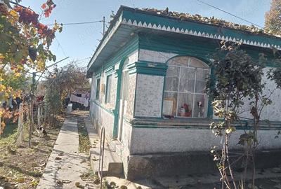 Vind casa - 1