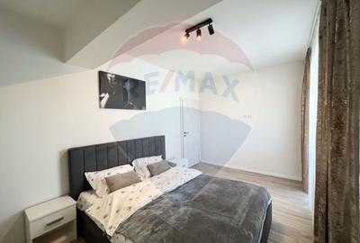 Apartament 3 camere de inchiriat vila  zona Milea - 9