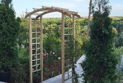 Casă cu 5 camere cu Teren 5400 Mp în Băleasa - 8