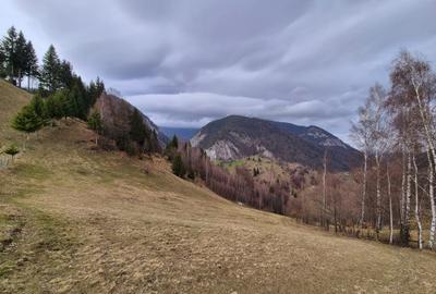 Teren cu energie speciala, Pestera/ 13570mp extravilan/Comision 0 % - 10