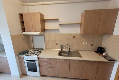 Campia Libertatii- str 7 Drumuri  2 Cam modern - 13