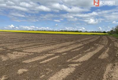 Teren Agricol | Opurtunitate investitie | Sananadrei - ID V713 - 3