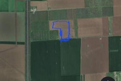 Tuzla/ Costinesti / Livada Tuzla/ Costinesti / Livada - 3