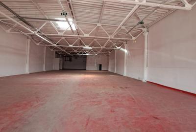 Spatiu ideal Cash&Carry Afumati - 2