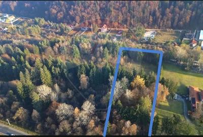 Teren Construcții intravilan de 10000 mp, în Timișu de Jos - 12