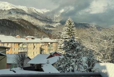 Studio Sinaia cu vedere spre munte - 11