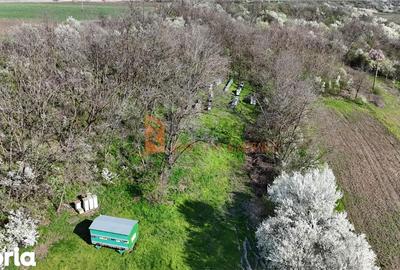 Teren de 3740 mp, în Vadu Pașii - 1