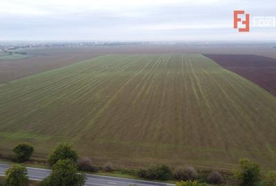 Teren agricol extravilan de 41700 mp, în Sânandrei - 2